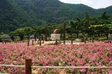 어머니와 오붓하게 단양·영주·영월 - 트래비 매거진 어머니와 오붓하게 단양·영주·영월