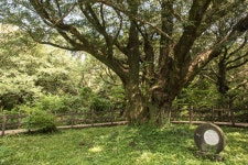 제주 태교 여행 - 트래비 매거진 제주 태교 여행