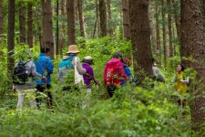 보약보다 낫다! 건강까지 챙기는 일거양득 여행지 11 - 트래비 매거진 보약보다 낫다! 건강까지 챙기는 일거양득 여행지 11