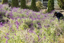 보약보다 낫다! 건강까지 챙기는 일거양득 여행지 11 - 트래비 매거진 보약보다 낫다! 건강까지 챙기는 일거양득 여행지 11