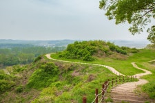 DMZ 민통선, 거리 두기의 재발견 - 트래비 매거진 DMZ 민통선, 거리 두기의 재발견