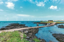 잘도 아꼽다,  우리 제주 - 트래비 매거진 잘도 아꼽다,  우리 제주