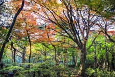 마법 같은 제주의 숲길을 걸어요 - 트래비 매거진 마법 같은 제주의 숲길을 걸어요