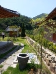 트리디비 - 전남동부권(순천.여수.광양.고흥.구례) 조경식재공사 전문업체입니다 트리디비(treedb)
