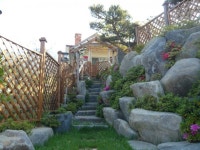 트리디비 - [부산]★조경공사후 저희농장 조형수로 식재한사진입니다 트리디비(treedb)