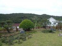 트리디비 - [부산]★조경공사후 저희농장 조형수로 식재한사진입니다 트리디비(treedb)