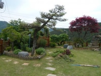 트리디비 - [부산]★조경공사후 저희농장 조형수로 식재한사진입니다 트리디비(treedb)