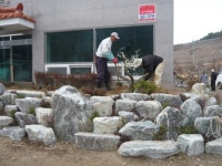 트리디비 - [부산]★조경공사 자연석 쌓기후  조경수 식재사진 트리디비(treedb)