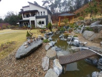 트리디비 - 소나무정원수 2-30만원에 농장에서 심어드려요 트리디비(treedb)