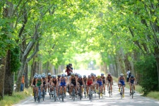 Video: The Tri-Angle: Madrid 2013 Race Preview | Triathlon.org