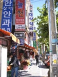 울산대학교 : 포토앨범 입니다.