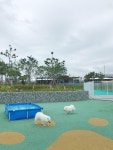 (글보기)본인인증 간략한 오토캠핑장 이용후기 및 건의사항(9월 5일-6일, 9월 26일-27일) | 여행후기 | 알림마당 | 의성펫월드 의성군, 의성펫월드