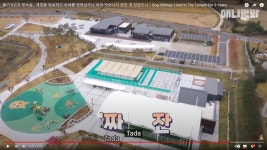 (글목록)펫월드 소식 | 알림마당 | 의성펫월드 의성군, 의성펫월드
