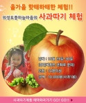 (글보기)의성토종마늘마을의 사과따기 체험 | 공지사항 | 소통참여 | 의성군 의성군청, 의성군, 의성, 군청, Uiseong