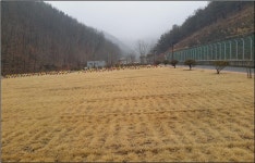 (글보기)천제공원 잔디장 | 포토갤러리 | 미디어 의성 | 활력넘치는 희망의성 | 의성군 의성군청, 의성군, 의성, 군청, Uiseong