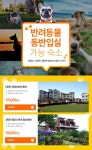 참좋은여행 - 좋은날, 좋은여행 참좋은여행 반려동물 동반입실 가능 숙소