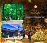 기획전 - 좋은날, 좋은여행 참좋은여행 자연에게 한 발짝