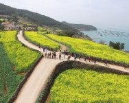 슬로시티 청산도에서 봄의 시작을 느껴보세요! - 완도군 슬로시티 청산도에서 봄의 시작을 느껴보세요!