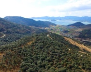 완도관광문화 >구름바다 펜션 구름바다 펜션