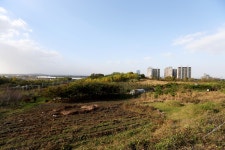 인터넷신문 검색