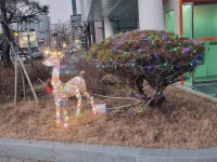 게시물 보기 페이지