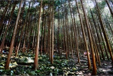 완주군 이미지갤러리