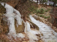 풀베개 : 인터넷식물도감 - 얼음골 등산로