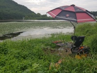         중고장터 > 팝니다 > 파라솔     중고장터 > 팝니다 > 파라솔