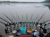 중고장터 > 팝니다 > 강포50~60 팝니다.