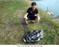         유료터정보 > 유료터점주조황 > 신봉지의 가을 붕어입니다...     유료터정보 > 유료터점주조황 > 신봉지의 가을 붕어입니다...