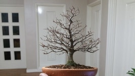 커뮤니티 > 자유게시판 > 안부