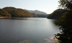 커뮤니티 > 자유게시판 > 초평지  둘래길..^^