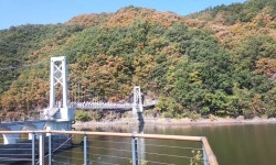 커뮤니티 > 자유게시판 > 초평지  둘래길..^^