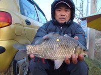        조황/조행기 > 낚시점 조황 > 대물나라최여사의 따끈따끈한... 낚시점 조황 > 대물나라최여사의 따끈따끈한 군위권조황정보 ㅎㅎㅎㅎㅎㅎ
