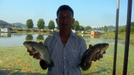         조황/조행기 > 낚시점 조황 > 이박사낚시 조황정보..     조황/조행기 > 낚시점 조황 > 이박사낚시 조황정보..