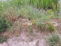 커뮤니티 > 낚시터환경개선 > 내가 틀렸었다.