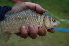 유료터정보 > 유료터조행기 > 이제는 휴식이 필요합니다.