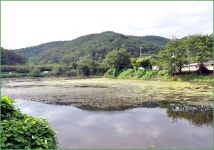 조황/조행기 > 습작 조행기 > 토붕사8월정출 후기