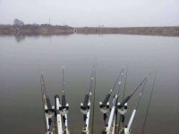         조황/조행기 > 스마트조황 > 가라지  분위기 좋습니다     조황/조행기 > 스마트조황 > 가라지  분위기 좋습니다