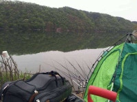 조황/조행기 > 스마트조황 > 방동지