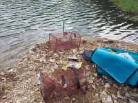         조황/조행기 > 스마트조황 > 양촌소류지드뎌왔다^^     조황/조행기 > 스마트조황 > 양촌소류지드뎌왔다^^