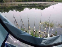 조황/조행기 > 스마트조황 > 성주 소류지