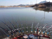         조황/조행기 > 스마트조황 > 오늘도 고흥에서 하루밤     조황/조행기 > 스마트조황 > 오늘도 고흥에서 하루밤