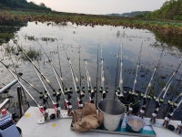 조황/조행기 > 스마트조황 > 경산에서 한번 더 해봅니다