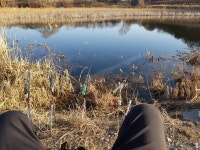         조황/조행기 > 스마트조황 > 짬낚     조황/조행기 > 스마트조황 > 짬낚