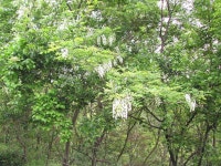  +++ 臾쇱궗의 대물낚시 업그레이드 +++ 