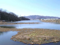 낚시터가는길 > 낚시터 소개 > 물사랑의 수로대사전-시간이 없는 분들께3(삼리늪=식실늪)