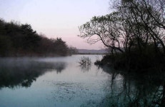 조황/조행기 > 특파원조황 > 산아래서 바라본 저수지들...(충남 서산)