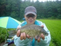 조황/조행기 > 특파원조황 > [서산 동부권] 물맑은 계곡지 4짜.(오름 수위)