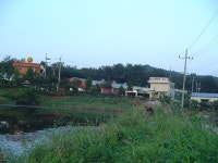 조황/조행기 > 작품 조행기 > 국경을 넘는 추억여행